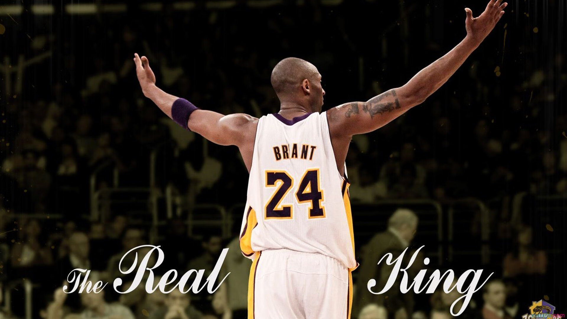 开云官网APP下载-_魔术队士气高涨，逆转强敌_，魔术队队员名单最新