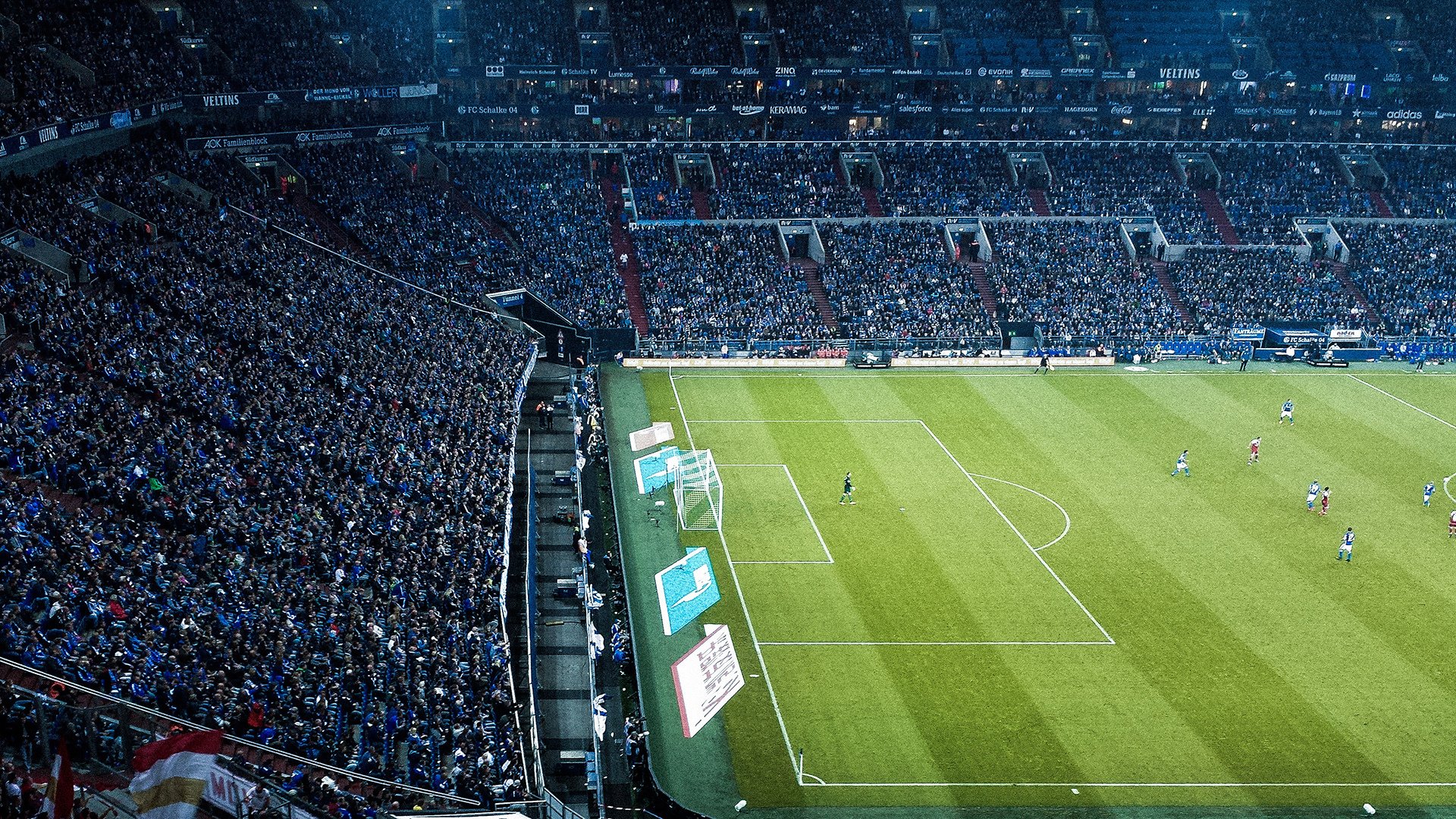 Palmer成为切尔西未来核心球员目标，切尔西新人